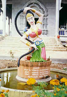 Ko Mae Mai, Ban Nong Nam, Chiang Saen, picture 5 (12.3 K)